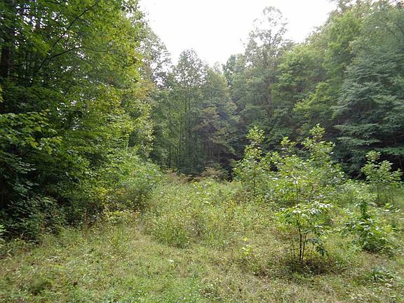 5th image of 233 Tazewell Hwy