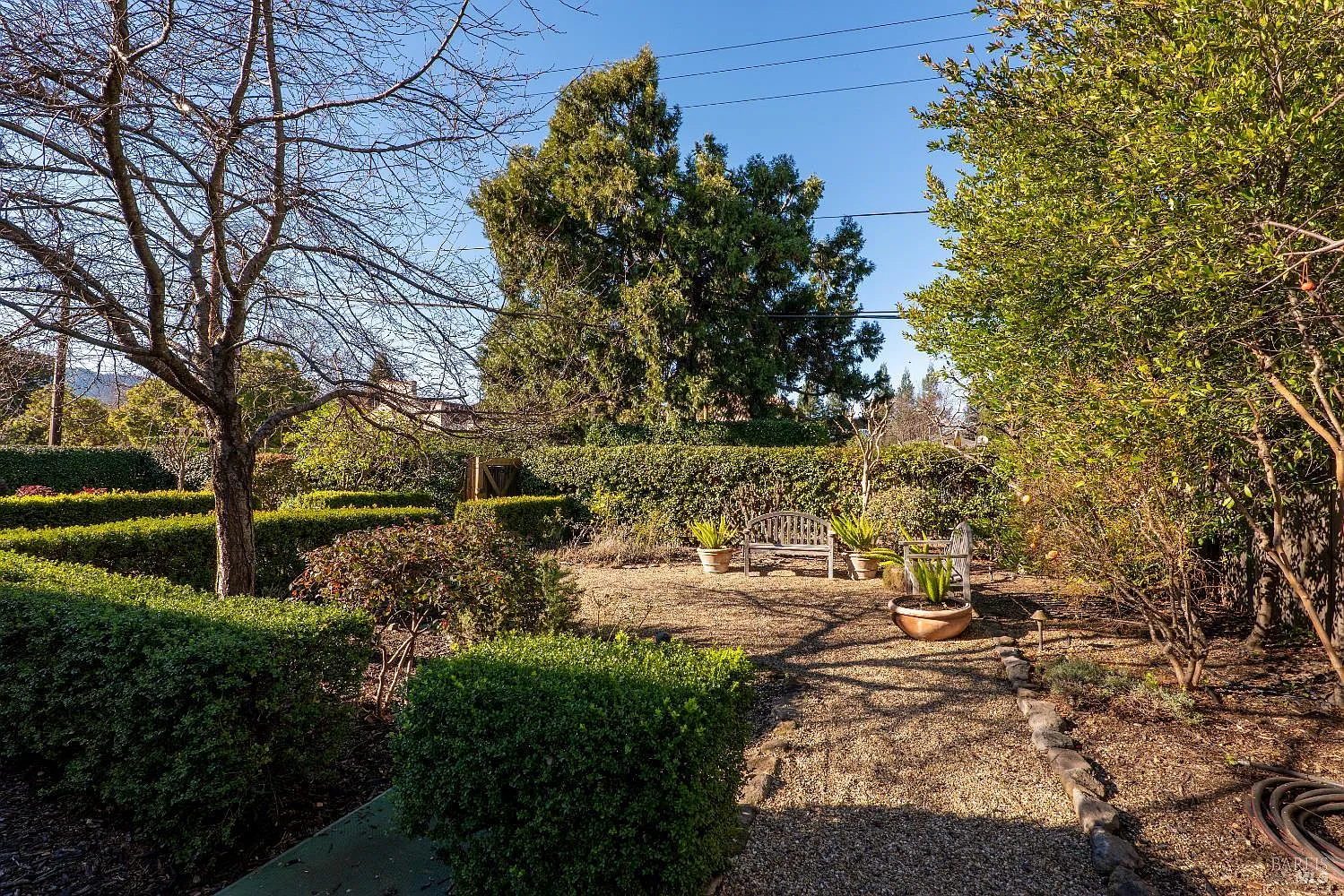 1135 Rutherford Road - Photo 6