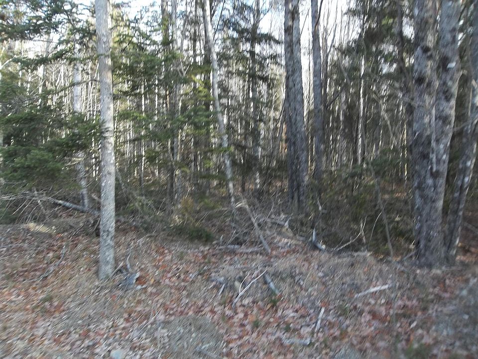 2nd image of M2 L42-1 Camp Road