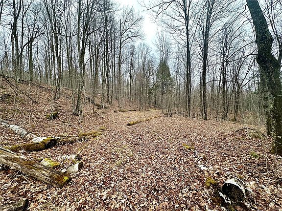 3rd image of Lot 1 W River Road