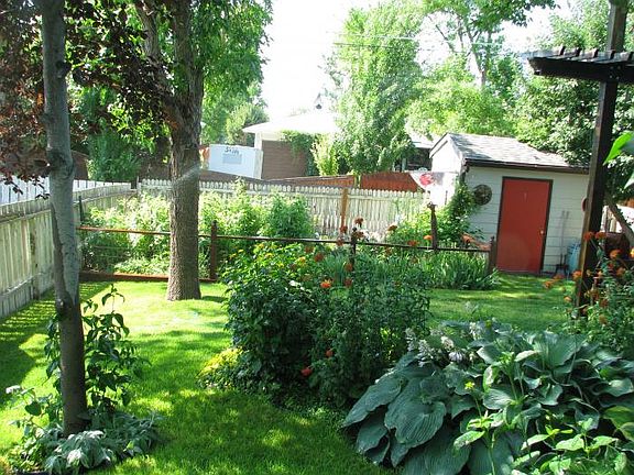 garden view, perennial bed
