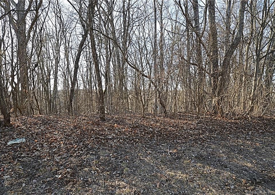 2nd image of 616 Cockle Hill Rd