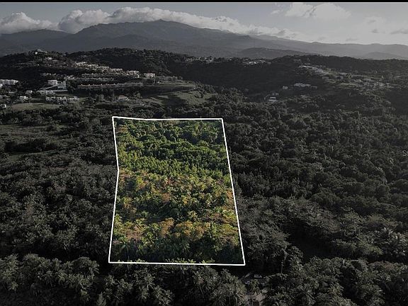 2nd image of State Highway 968 Km #2.2