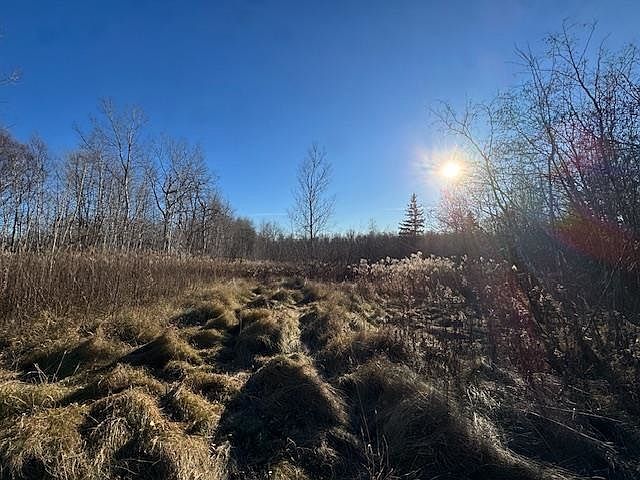 2nd image of 5 Martin Rd