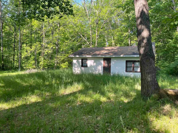 9778 Lake Ave, Lake, MI 48632
