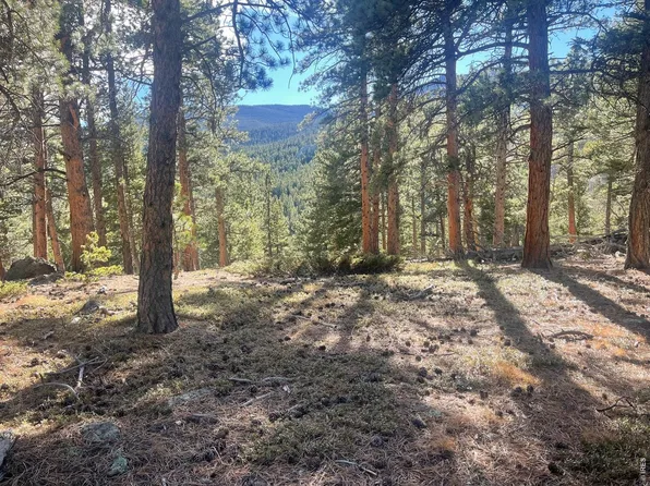 399 N Skinner Rd, Allenspark, CO 80510