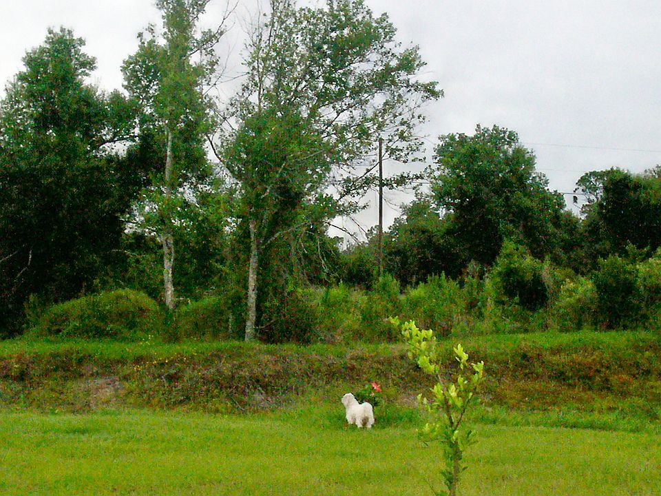 2nd image of 2529 NW Eucalyptus Ave