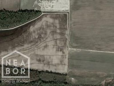 7740 Greene Rd #7740, Paragould, AR, 72450