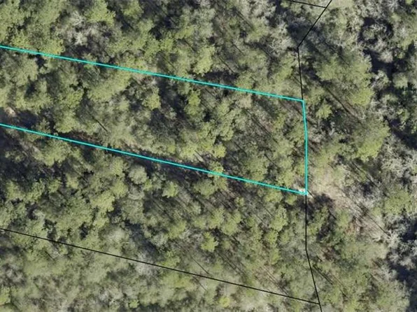 0 E/s Brookside, Reidsville, GA 30453