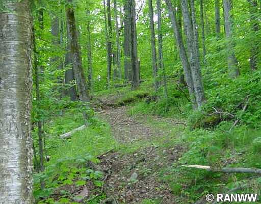 5th image of Lot 2 Flambeau Road