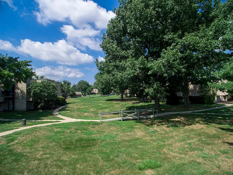 Forest Creek — Photo 15