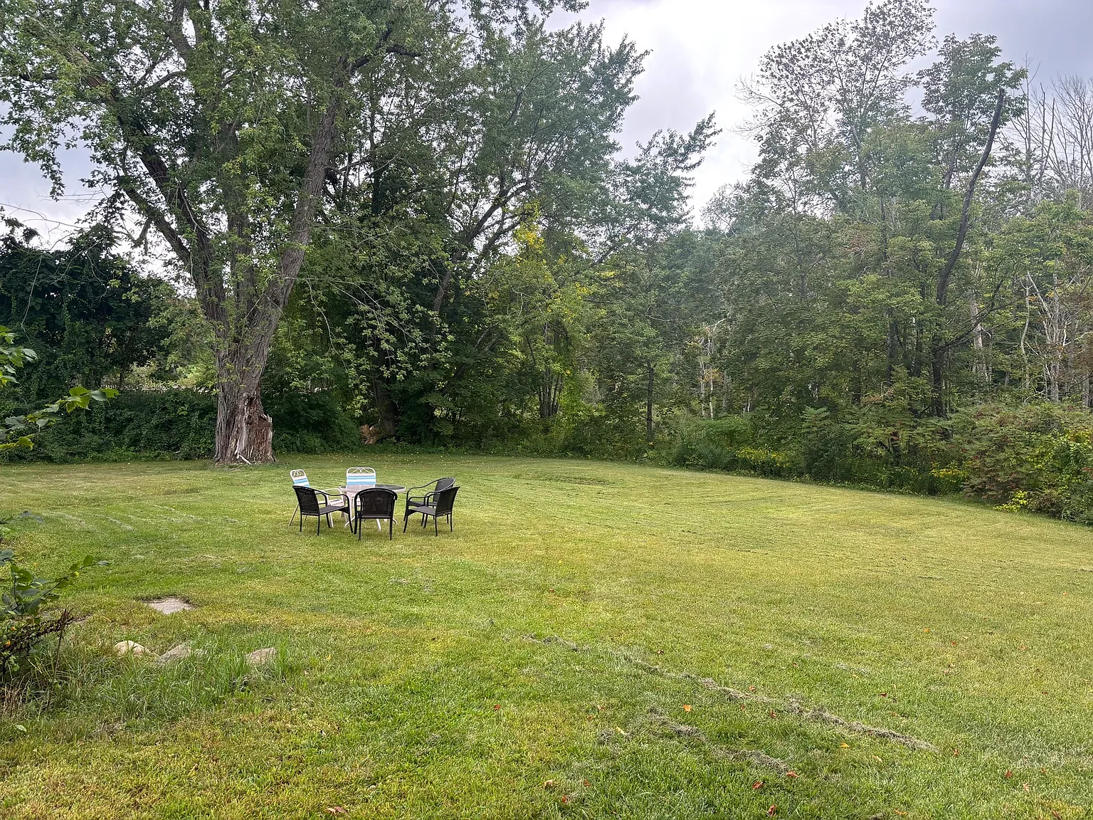3 bed, 1.0 bath, 1200 sqft, $1,850 — Photo 3