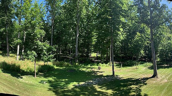 Beautiful Wetland Backyard 