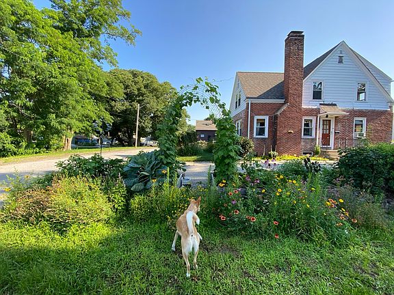 South side garden beds