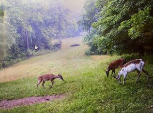 445 Tatum Rd, Pulaski, TN 38478