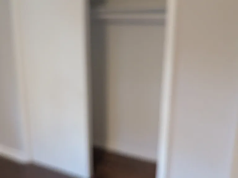 Master BR closet #1