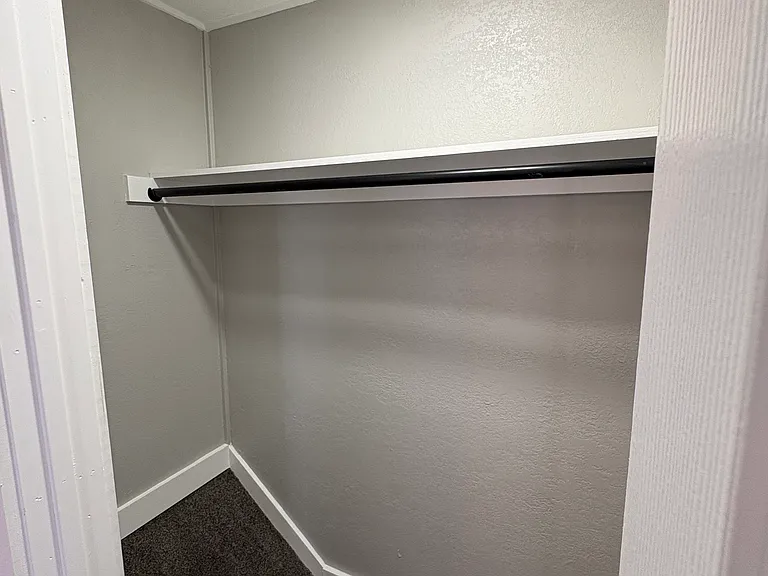 Bedroom 2 (master) walk in closet