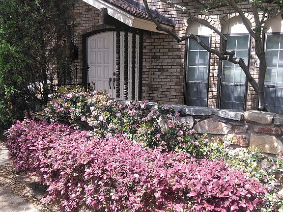 Front entry in bloom