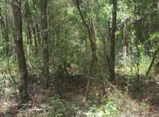 SW 156th Pl LOT 296, Dunnellon, FL 34432