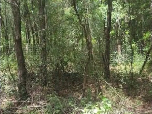 SW 156th Pl Lot 296, Dunnellon, FL 34432