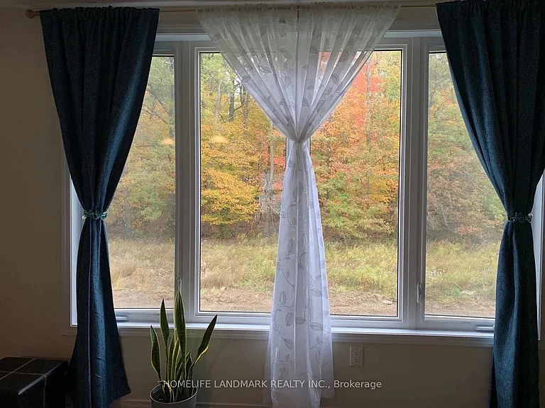 8683 Chickory Trl — Photo 30