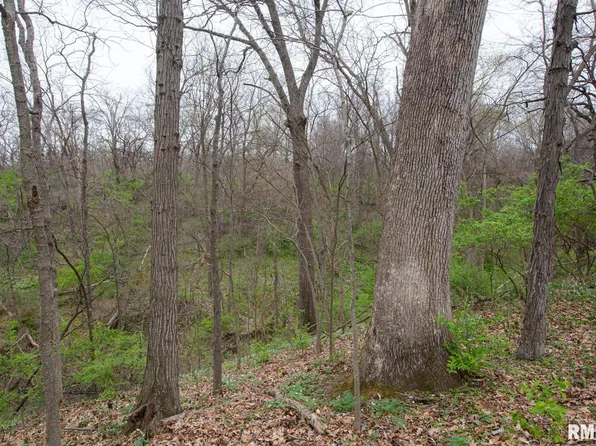 0 N Il Rte #78, Virginia, IL 62691