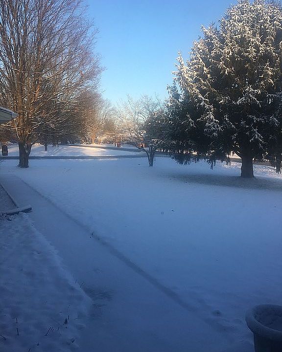 View from garage.