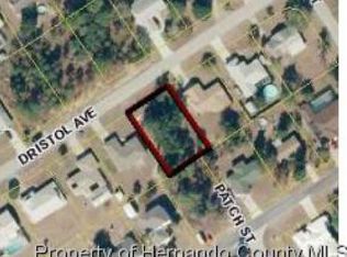 4316 Dristol Ave, Spring Hill, FL 34609