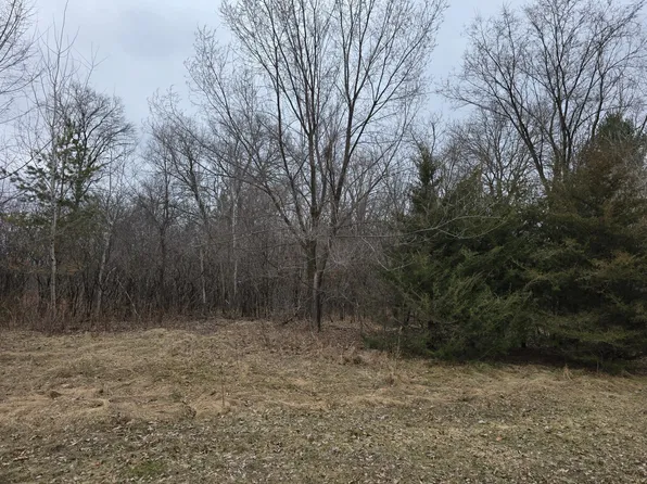 L4 B 288th Ave NW #1, Zimmerman, MN 55398