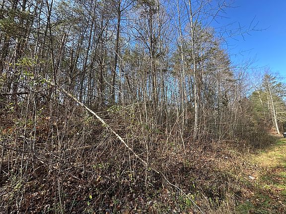 3rd image of 0 Hemlock Subdivision Rd