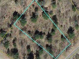 LOT 18 Loon Lake Rd, Danbury, WI 54830