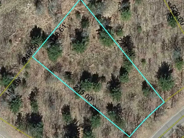 Lot 18 Loon Lake Road, Danbury, WI 54830