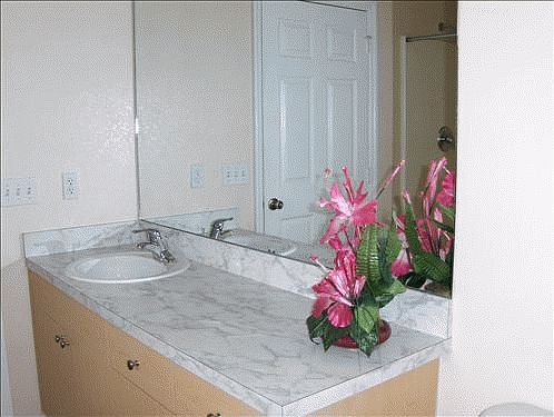 En-suite bathroom(to Master bedroom)