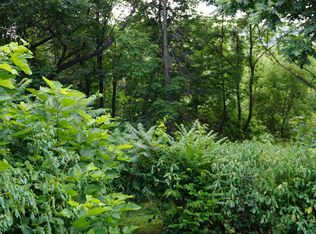 Enders Ave, Schoharie, NY 12092