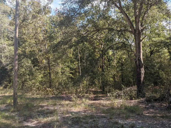 NE Hillside Ter, Lee, FL 32059