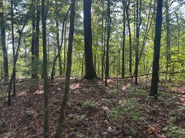 3 Wendy Hill Rd, Talking Rock, GA 30175