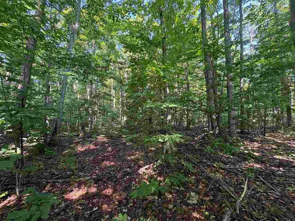 3443 Needles Dr, Harbor Springs, MI 49740