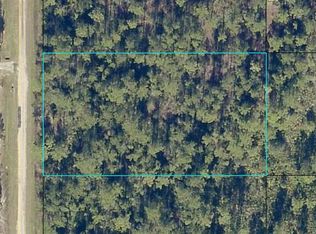 10540 Carpenter Ave, Hastings, FL 32145