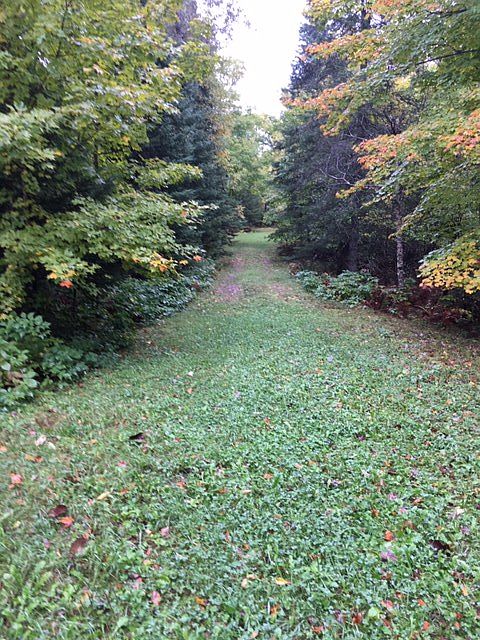 2nd image of LOT 7 Weber Rd
