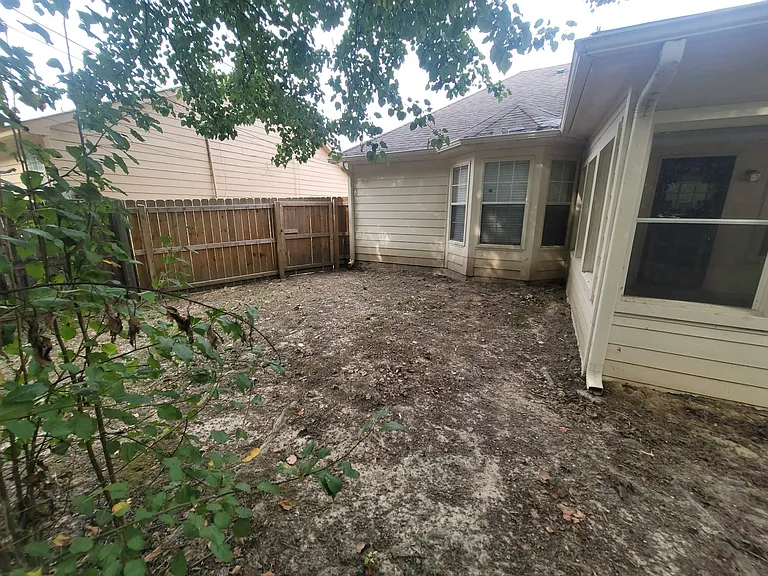 Back yard pic 2