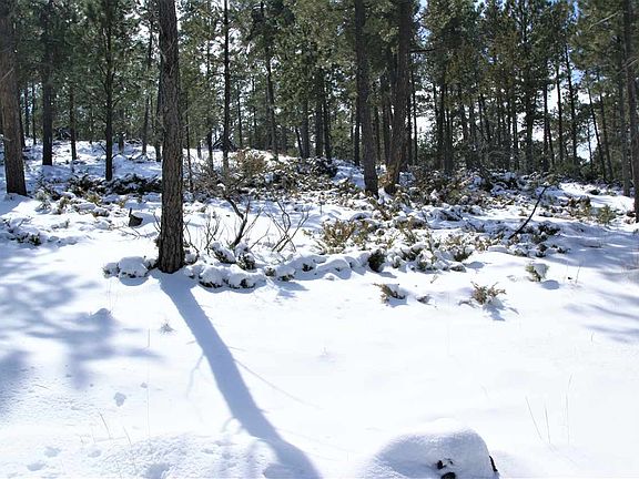 5th image of 26785 Buffalo Butte Dr