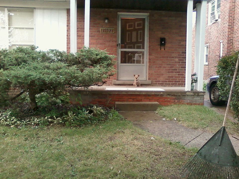 Front porch
