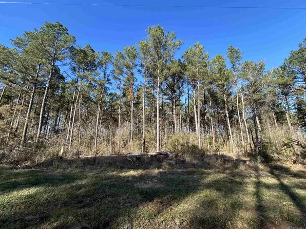 15 Butterbean Rdg, Livingston, LA 70754