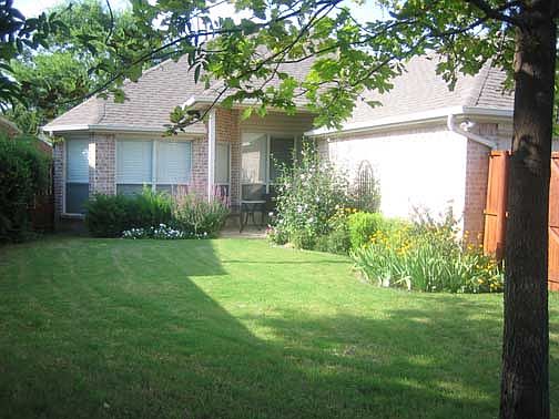 back yard