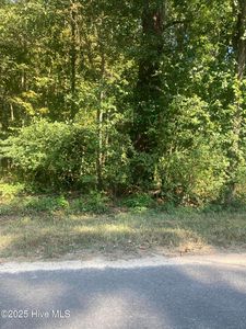 Tbd Cedar Lane, Laurinburg, NC, 28352