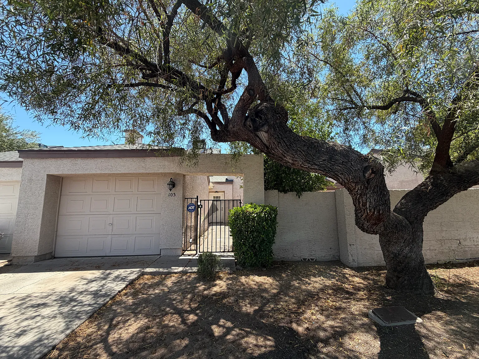 3 bed, 1254 sqft, $1,999 — Photo 2