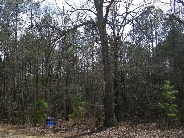 29 Benjamin Brown Ct, Elberton, GA 30635