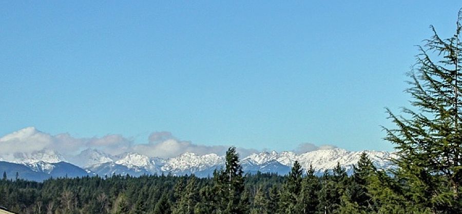 1st image of 20161 Vikings Crest Loop NE