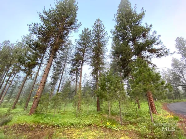 17 Vardon Rd, New Meadows, ID 83654