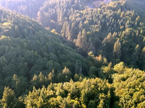 Miloris Way, Columbia City, OR 97018